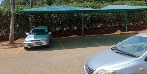 Multiple-car-sheds2-Sitespar-Project